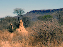 Waterberb Escarpment, southern edge